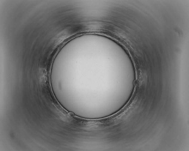 X0000112501449200908311442