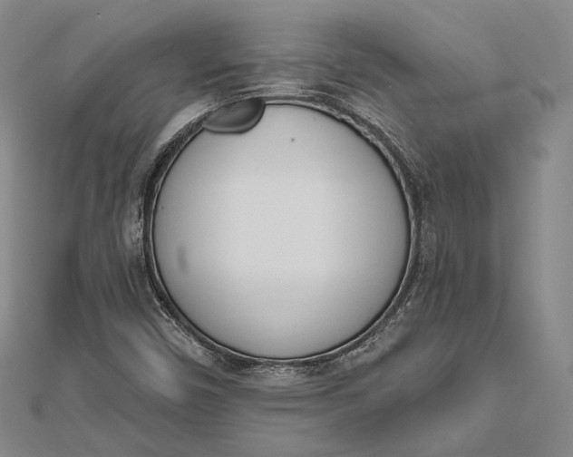 X0000112501450200908311442