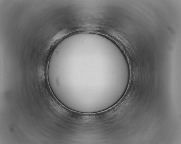 X0000112501451200908311442