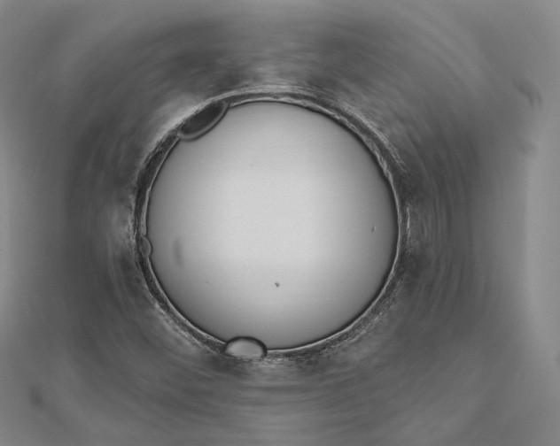 X0000112501452200908311442