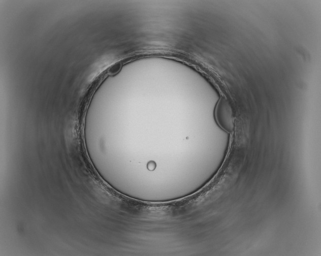 X0000112501453200908311442