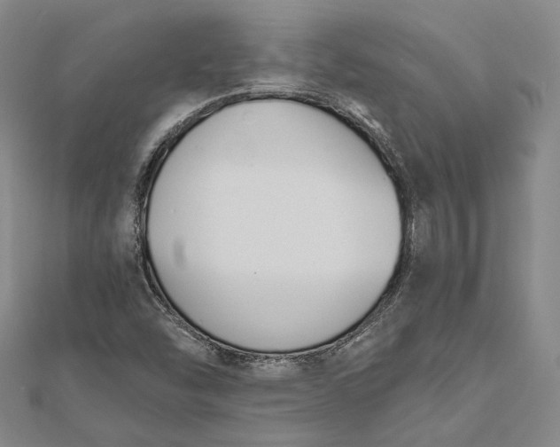 X0000112501454200908311442