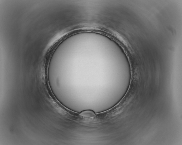 X0000112501456200908311442