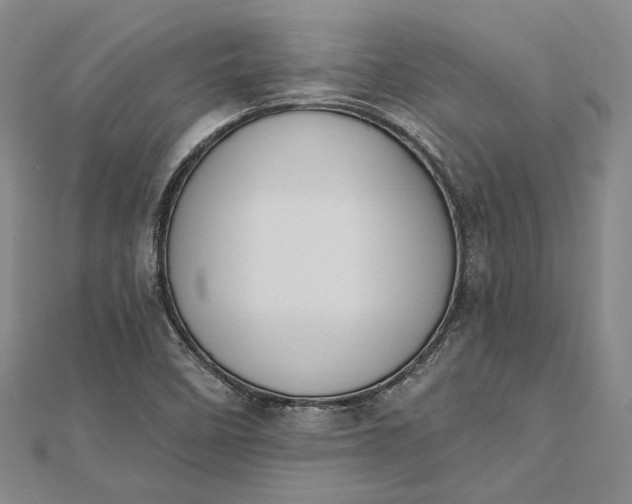 X0000112501458200908311442