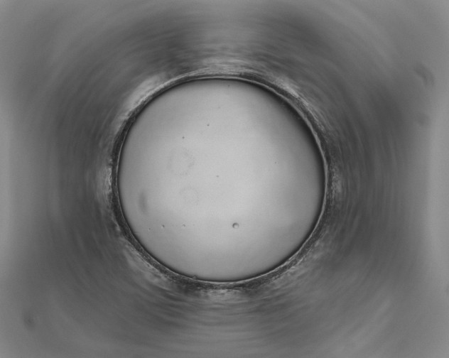 X0000112501459200908311442