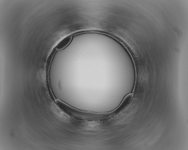 X0000112501460200908311442