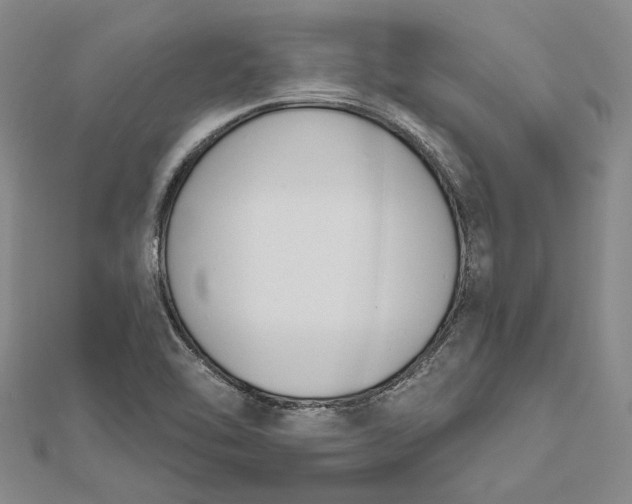 X0000112501462200908311442