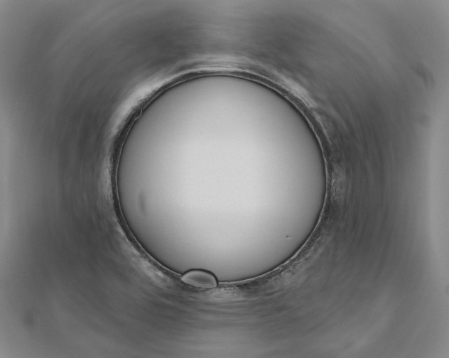 X0000112501464200908311442