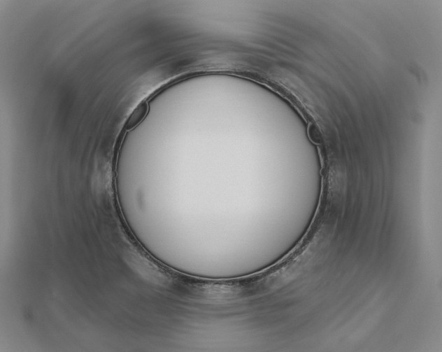 X0000112501465200908311442