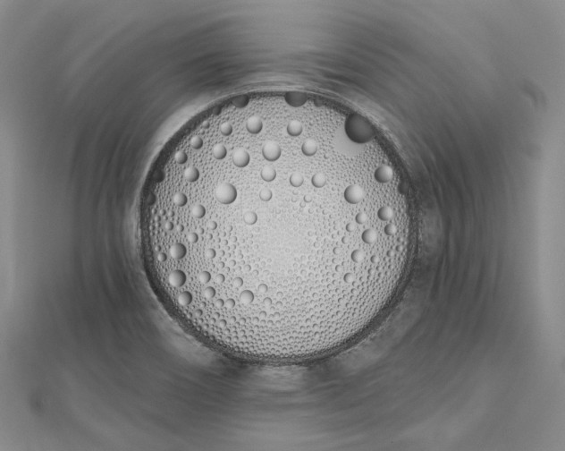 X0000112501466200908311442