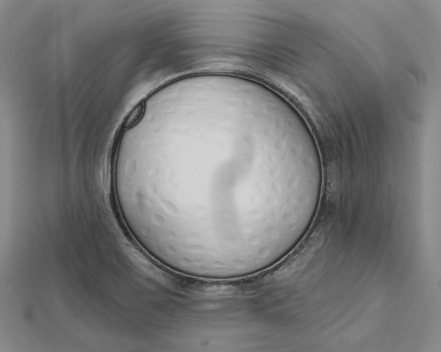 X0000112501467200908311442