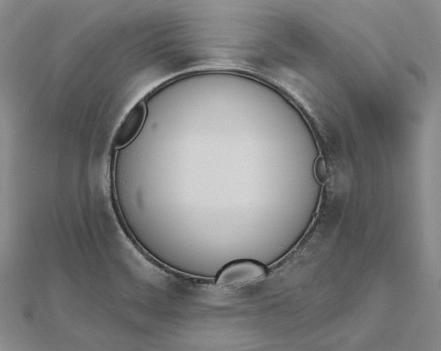 X0000112501468200908311442