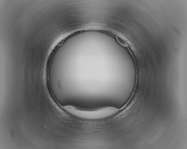 X0000112501469200908311442