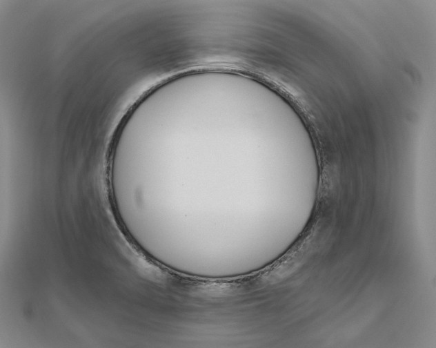 X0000112501470200908311442