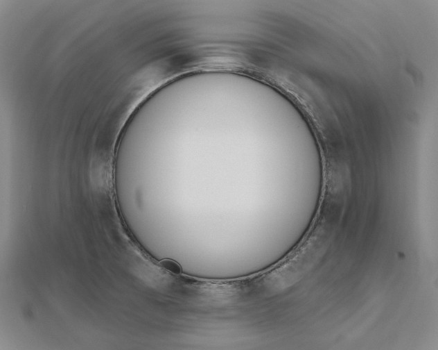 X0000112501473200908311442