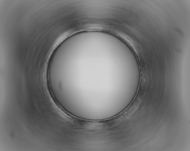 X0000112501475200908311442