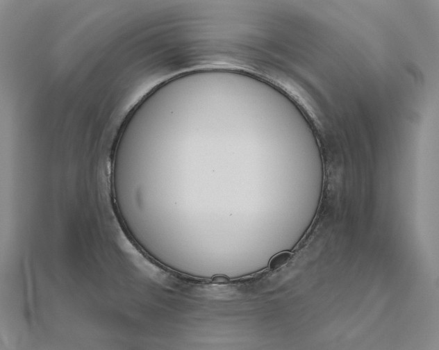 X0000112501476200908311442