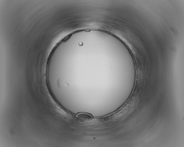 X0000112501477200908311442