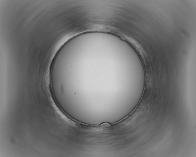 X0000112501479200908311442