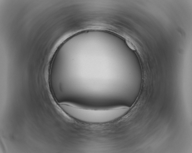 X0000112501480200908311442