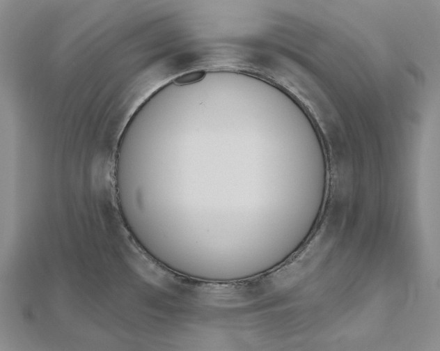 X0000112501481200908311442