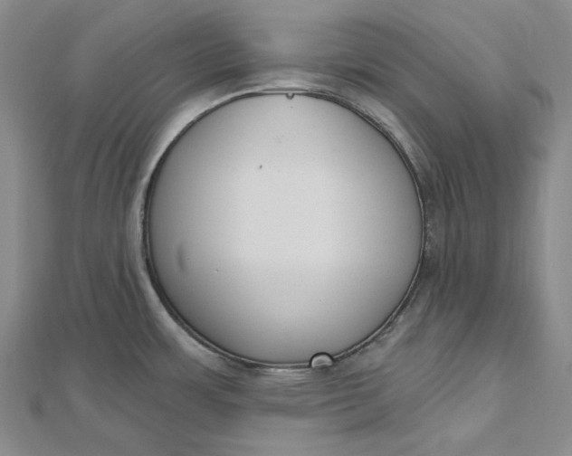 X0000112501483200908311442