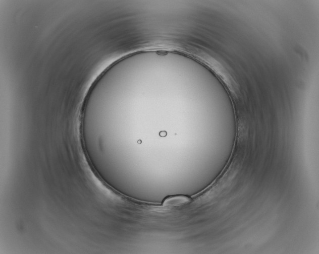 X0000112501484200908311442