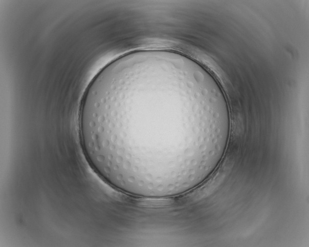 X0000112501487200908311442