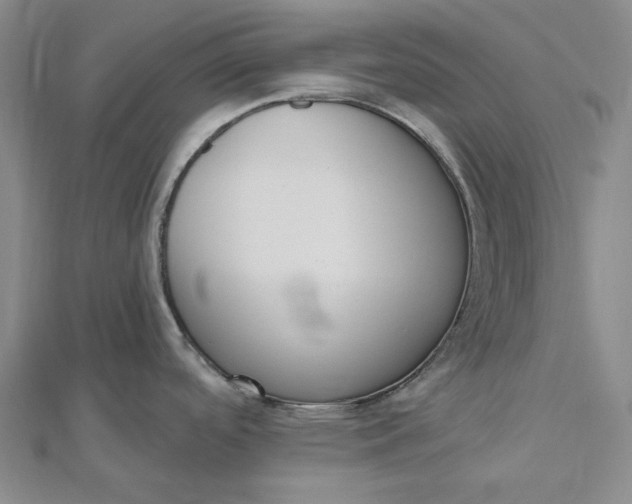 X0000112501488200908311442