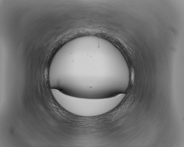 X0000112501492200908311441