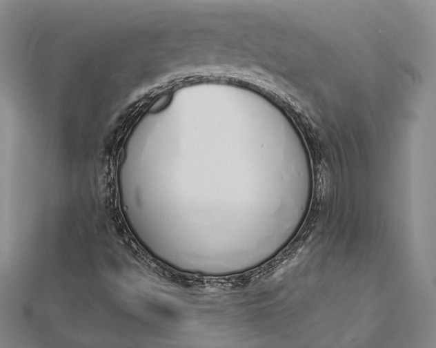 X0000112501494200908311441