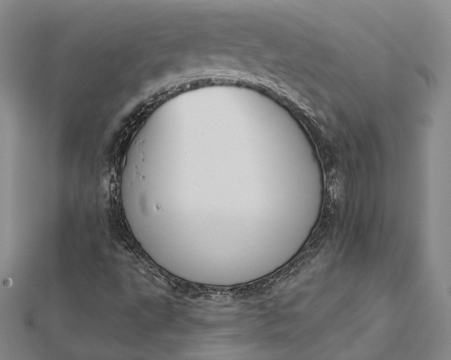 X0000112501495200908311441