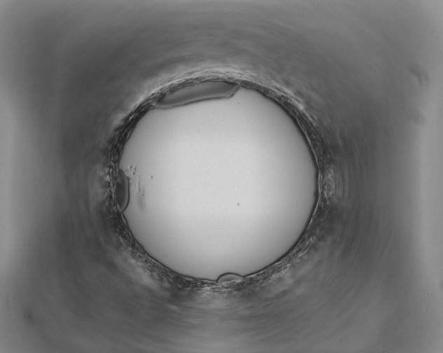 X0000112501496200908311441