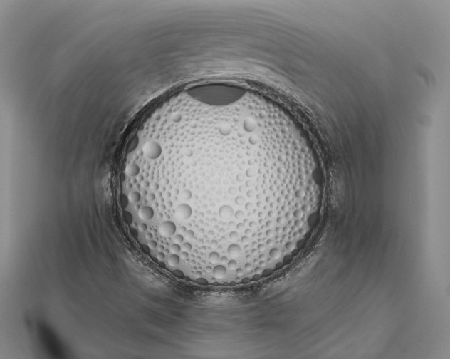 X0000112501497200908311441