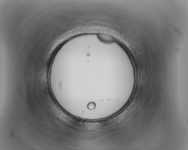 X0000112501498200908311441