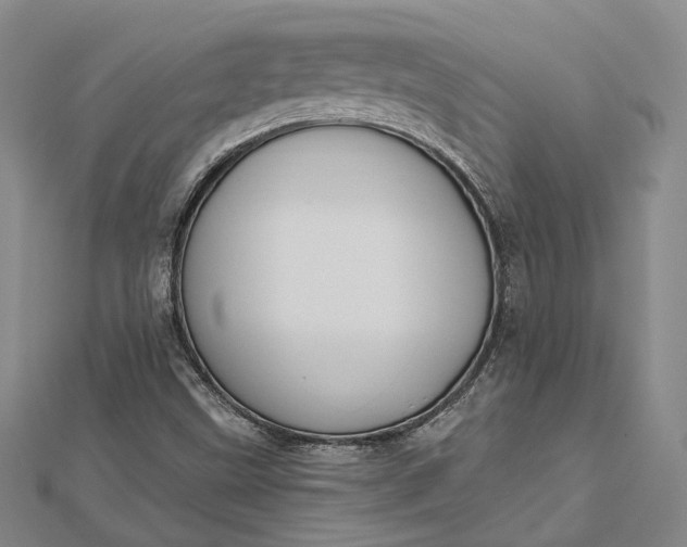 X0000112501499200908311441