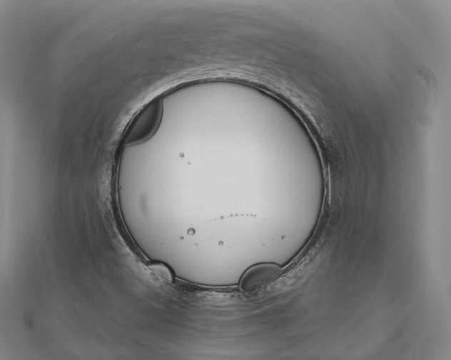 X0000112501500200908311441