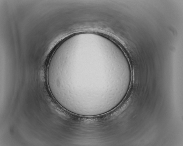 X0000112501501200908311441