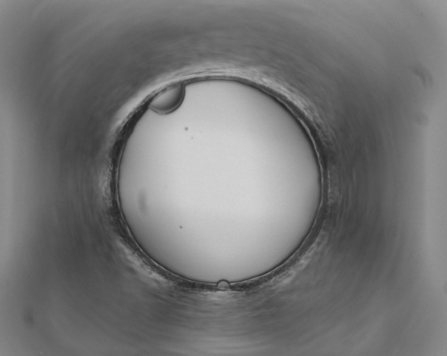 X0000112501502200908311441