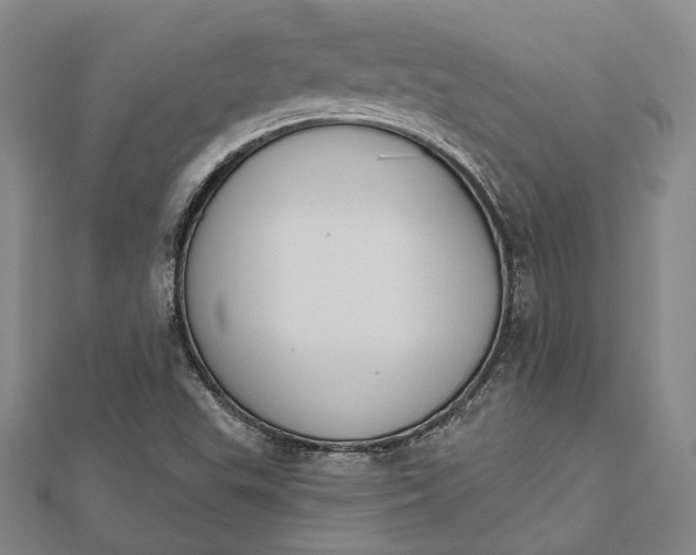 X0000112501503200908311441