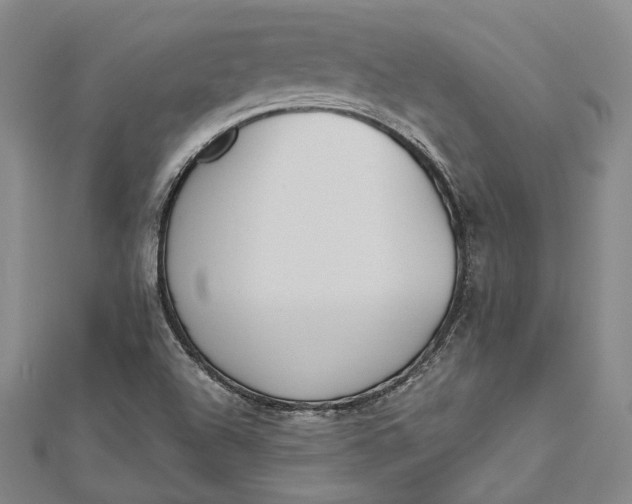 X0000112501504200908311441