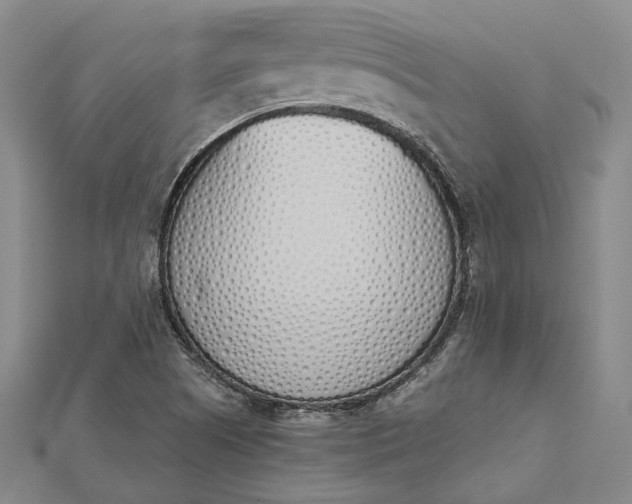 X0000112501505200908311441