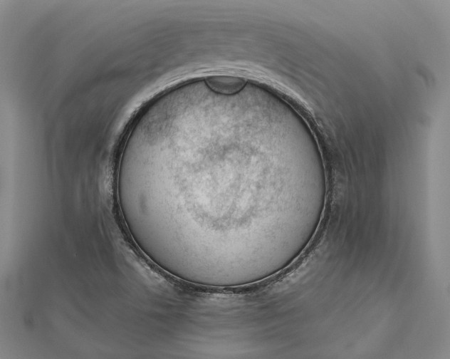 X0000112501506200908311441