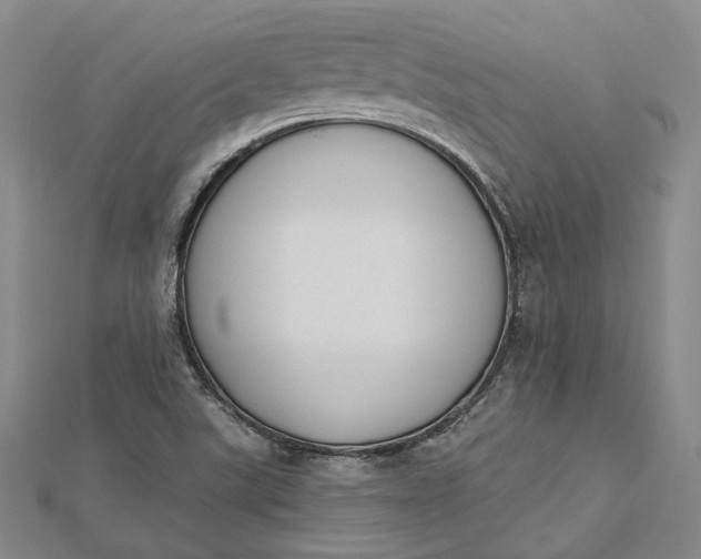 X0000112501507200908311441