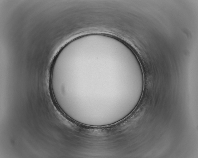 X0000112501508200908311441