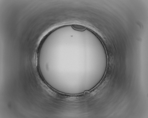 X0000112501510200908311441