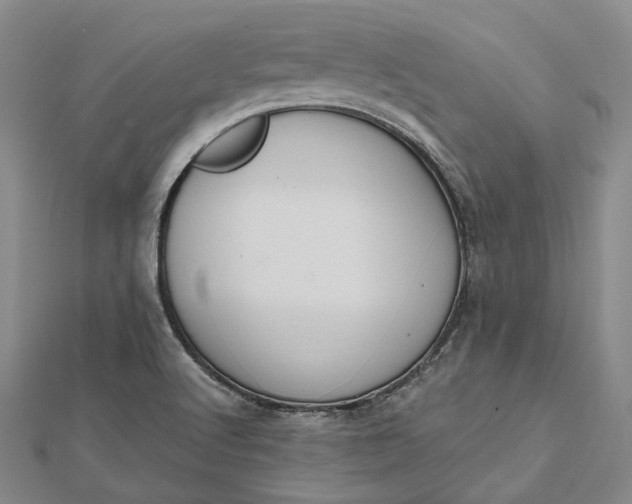 X0000112501512200908311441