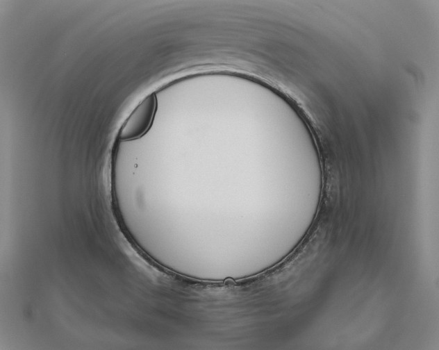 X0000112501516200908311442