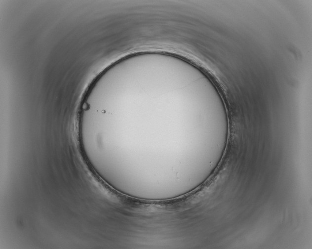 X0000112501517200908311442