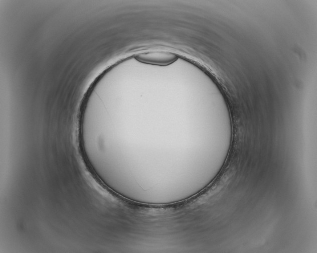 X0000112501518200908311442